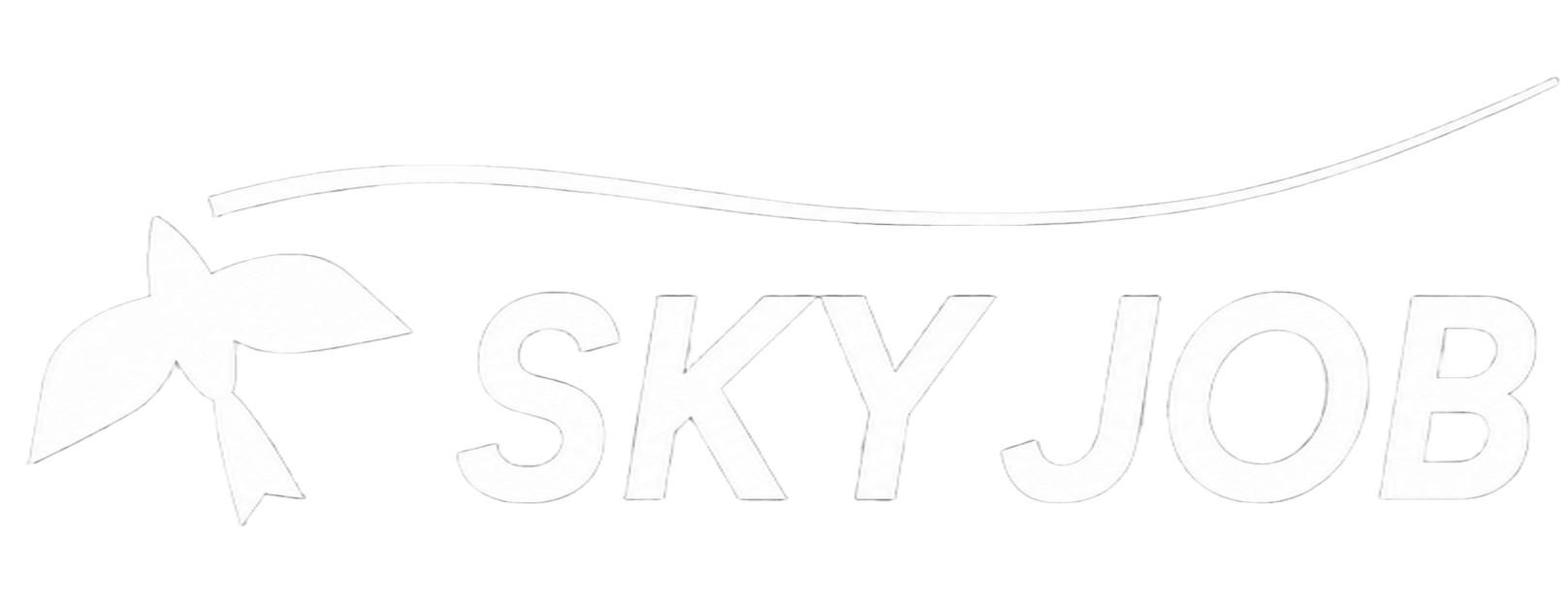 SKYJOB
