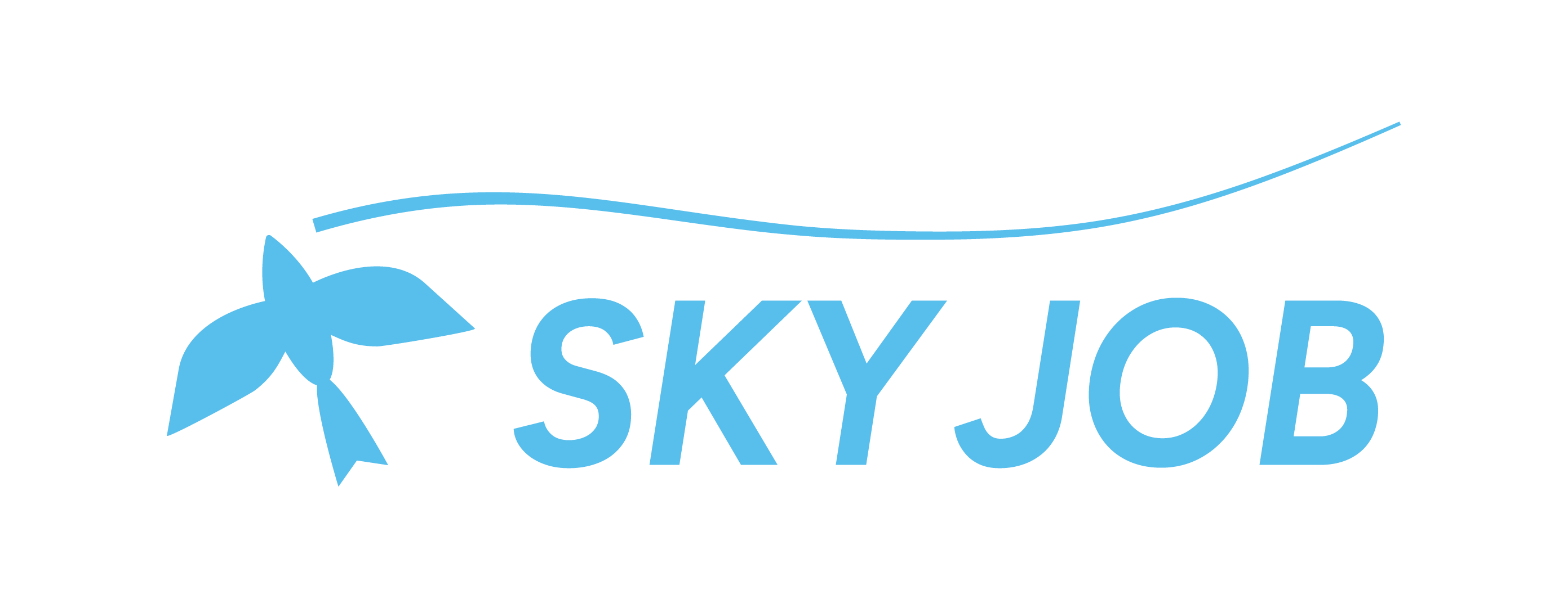 SKYJOB