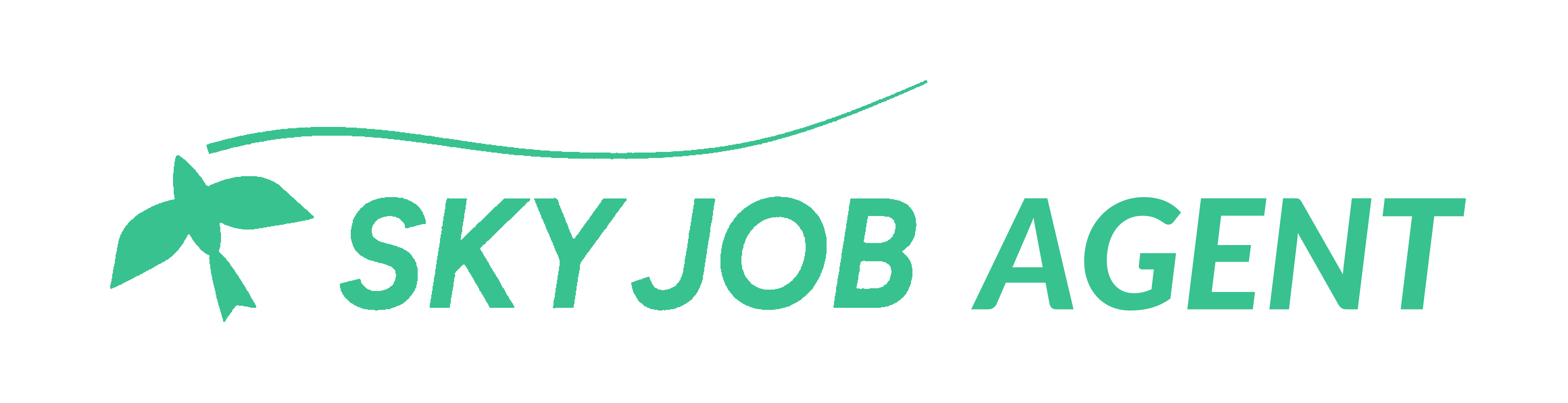 SKYJOB