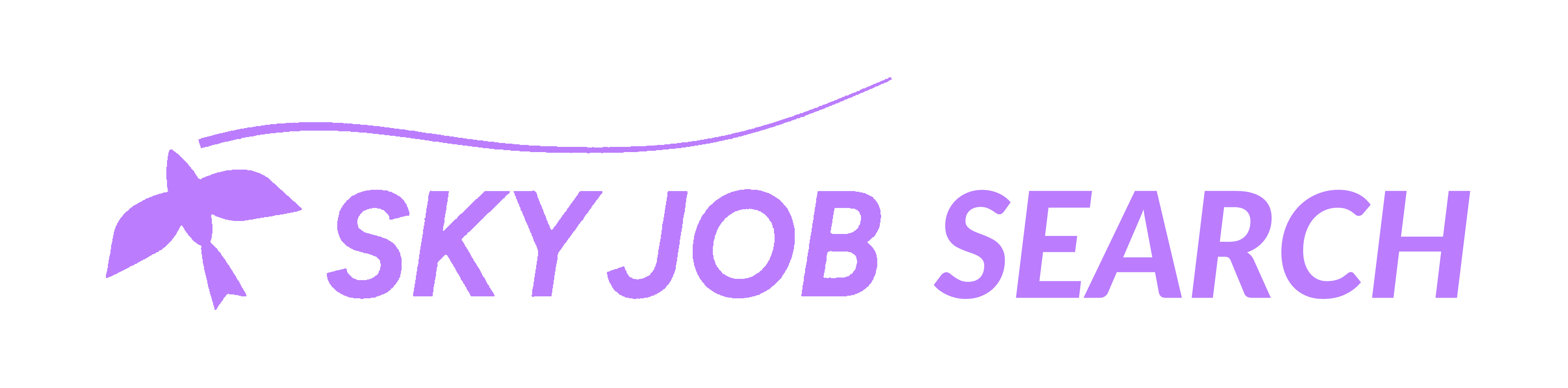 SKYJOB